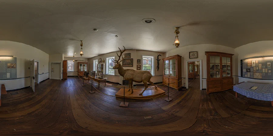 Old Economy Village - Museum Deer
